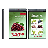 MERTECH HL101 Dual 10,1″ картинка от магазина Кассоптторг