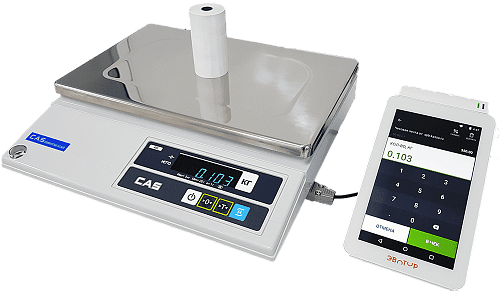 Эвотор и весы CAS AD-05                                        