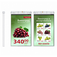 MERTECH HL101 Dual 10,1″ White картинка от магазина Кассоптторг